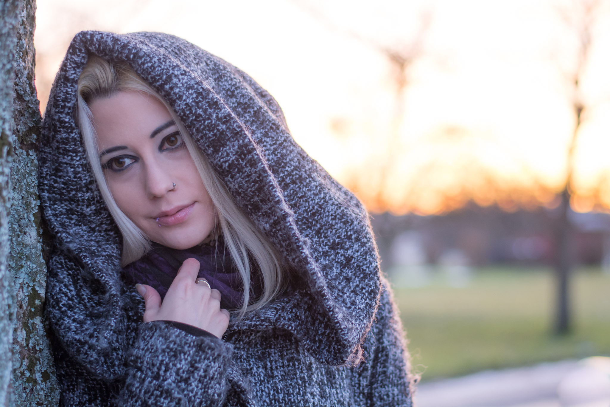 Auf der Suche nach Diptychons